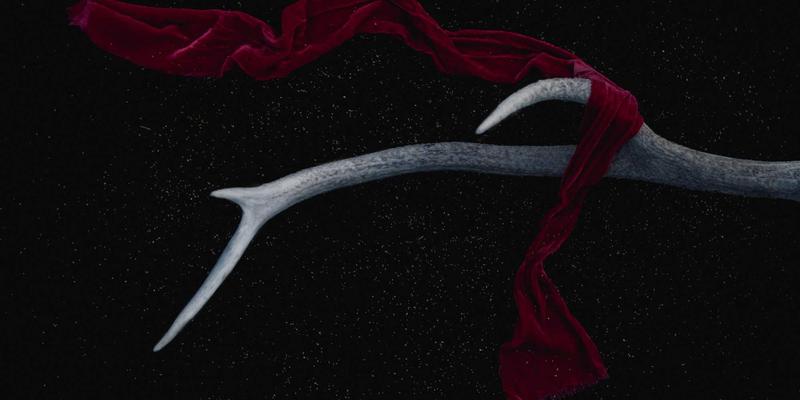 甘肃专升本考试科目全解析与高效备考策略，助你成功上岸