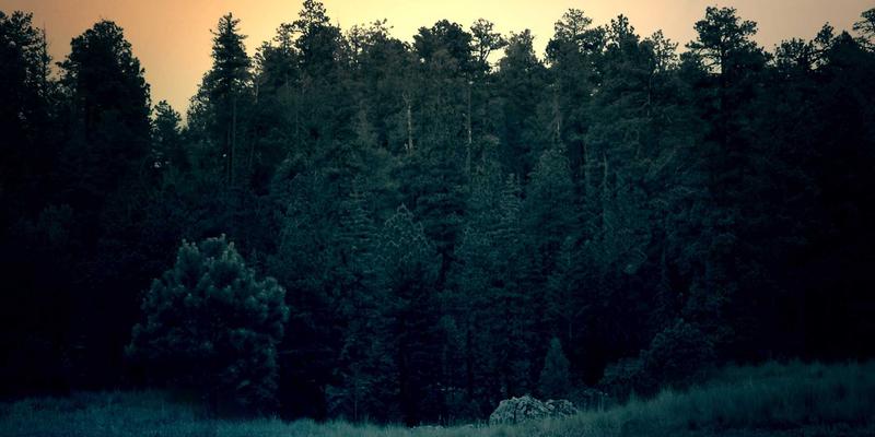 甘肃春季高考(对口升学)全攻略:招生对象、考试科目与院校专业选择,助你精准备考